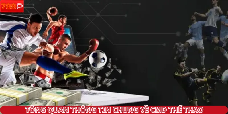 Tổng quan thông tin chung về CMD thể thao